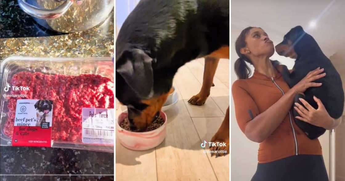 woman buying woolies meat for her dog woman buying woolies meat for her dog