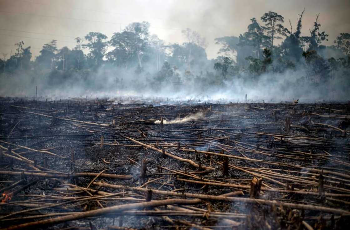 Smokes rise from a forest fire -set and controlled by locals for farming purposes- in the Tambopata region, southern Peruvian jungle on September 01, 2019. Smokes rise from a forest fire -set and controlled by locals for farming purposes- in the Tambopata region, southern Peruvian jungle on September 01, 2019.