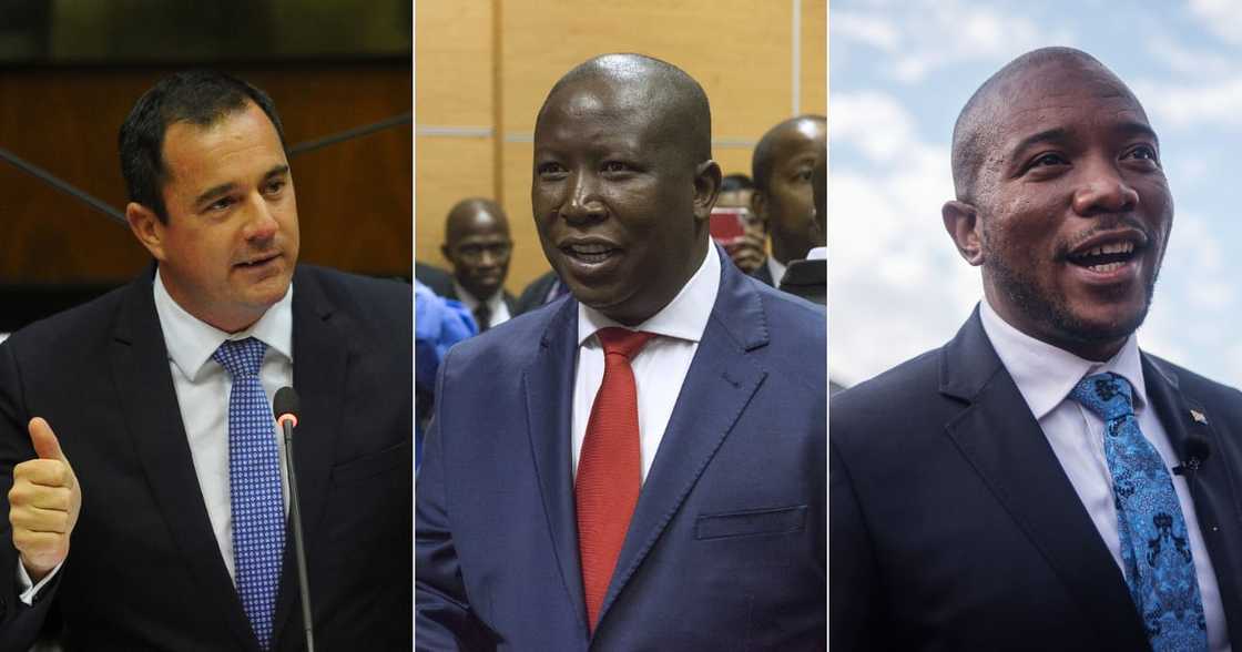 South African Politicians, DA, EFF, Mmusi Mainmane, Julius Malema, John Steenhuisen