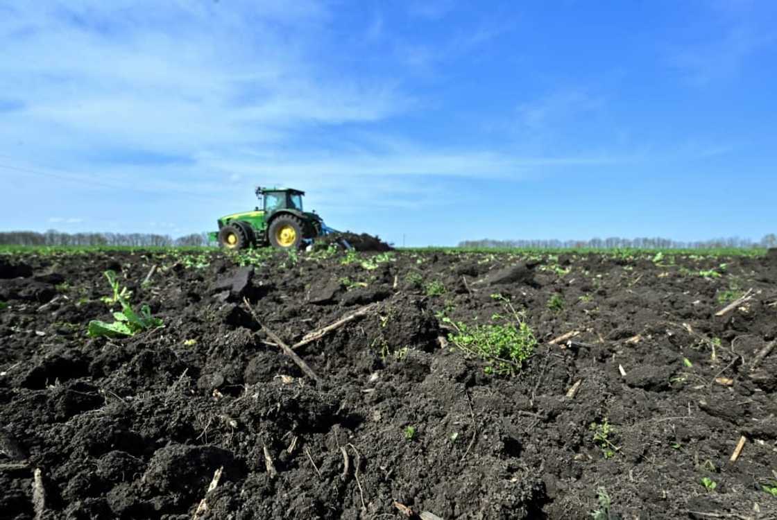 The EU lifted customs duties on Ukrainian grain in May 2022 after Russia blockaded Ukraine's Black Sea ports The EU lifted customs duties on Ukrainian grain in May 2022 after Russia blockaded Ukraine's Black Sea ports