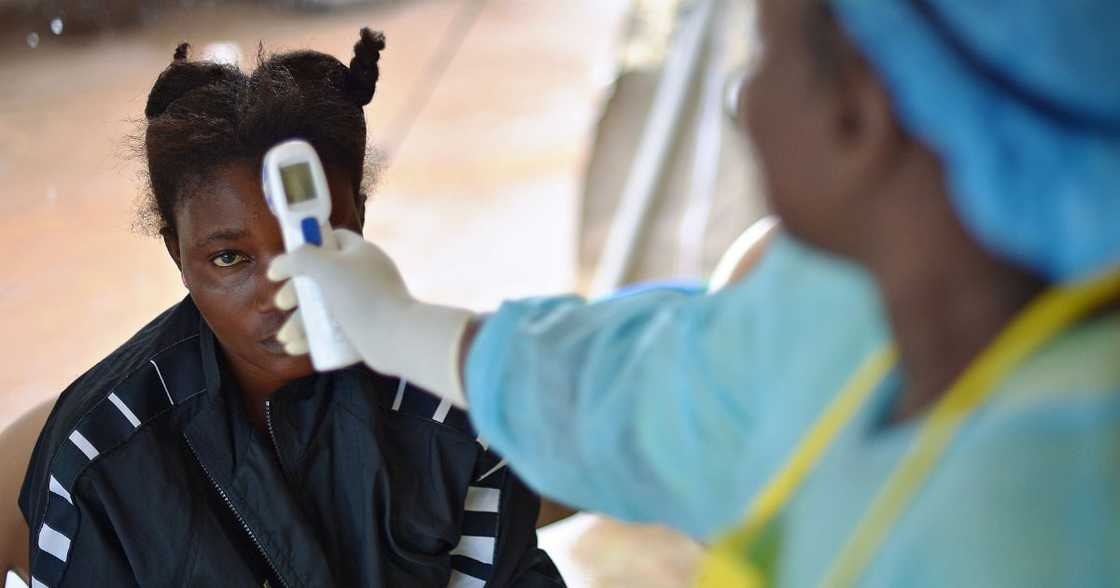 WHO, Marburg Virus, West Africa, Ebola, Covid-19, coronavirus, Guinea, World Health Organization WHO, Marburg Virus, West Africa, Ebola, Covid-19, coronavirus, Guinea, World Health Organization