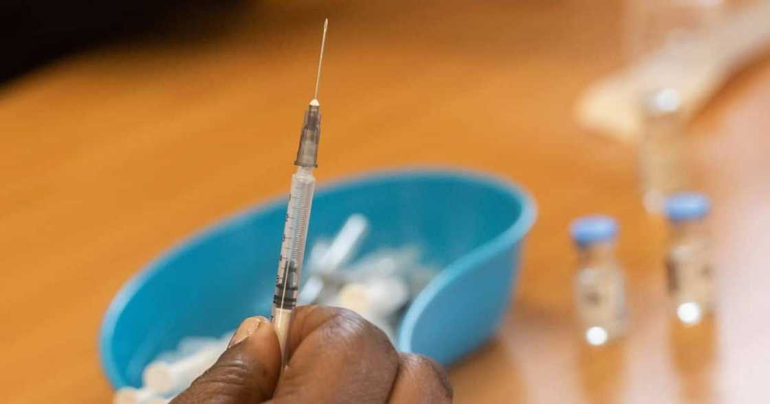 SA, urged, digitalise, Covid-19 vaccine, certificates, international travel SA, urged, digitalise, Covid-19 vaccine, certificates, international travel