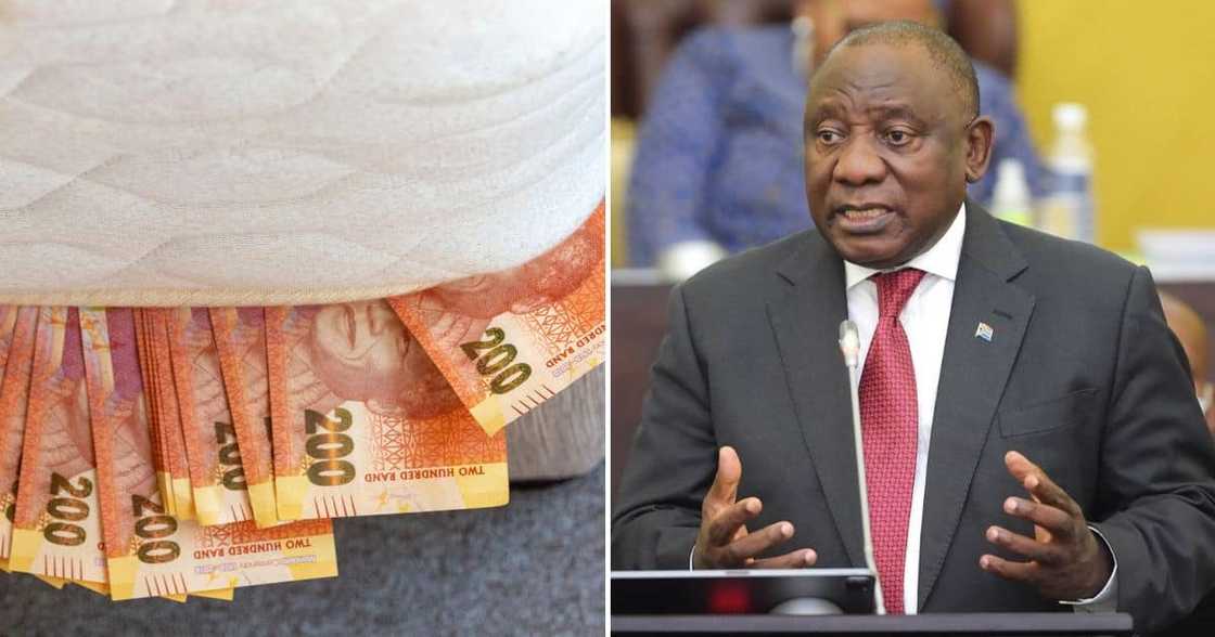 farmgate, President Cyril Ramaphosa, cover up, crime, theft, Arthur Fraser, kidnapping, bribery, money laundering farmgate, President Cyril Ramaphosa, cover up, crime, theft, Arthur Fraser, kidnapping, bribery, money laundering