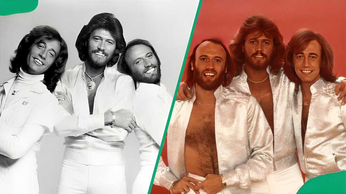 Peta Gibb Peta Gibb
