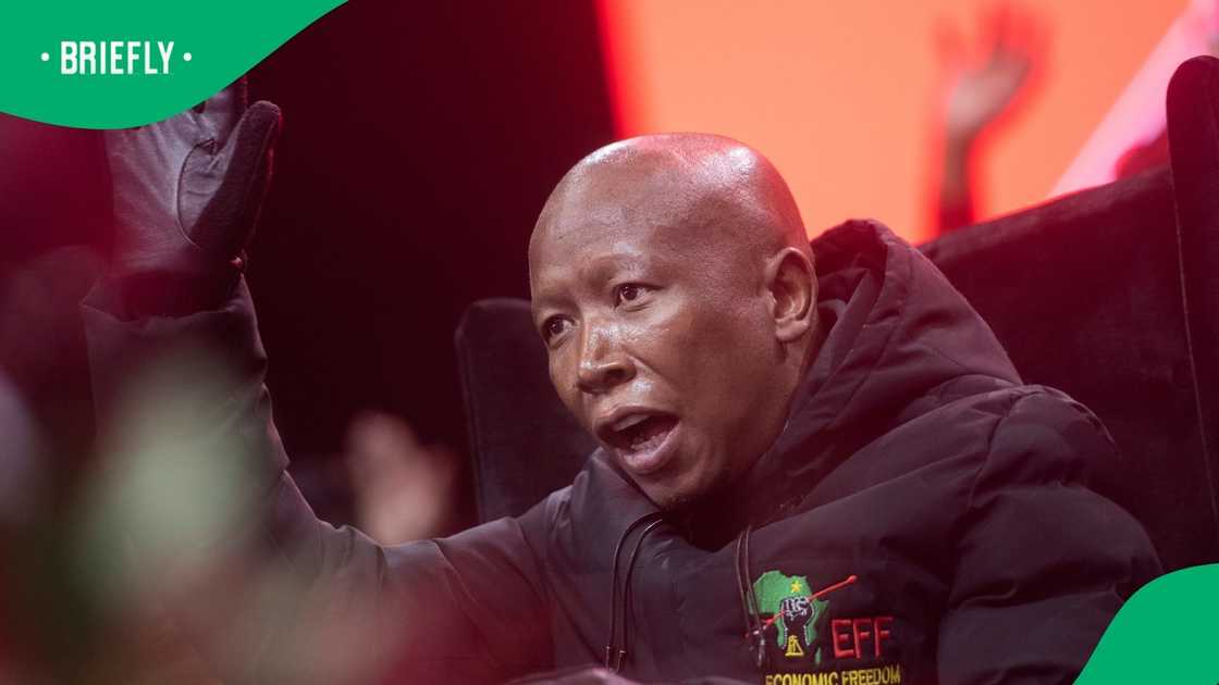 Julius Malema's property is valued at R21.6 million