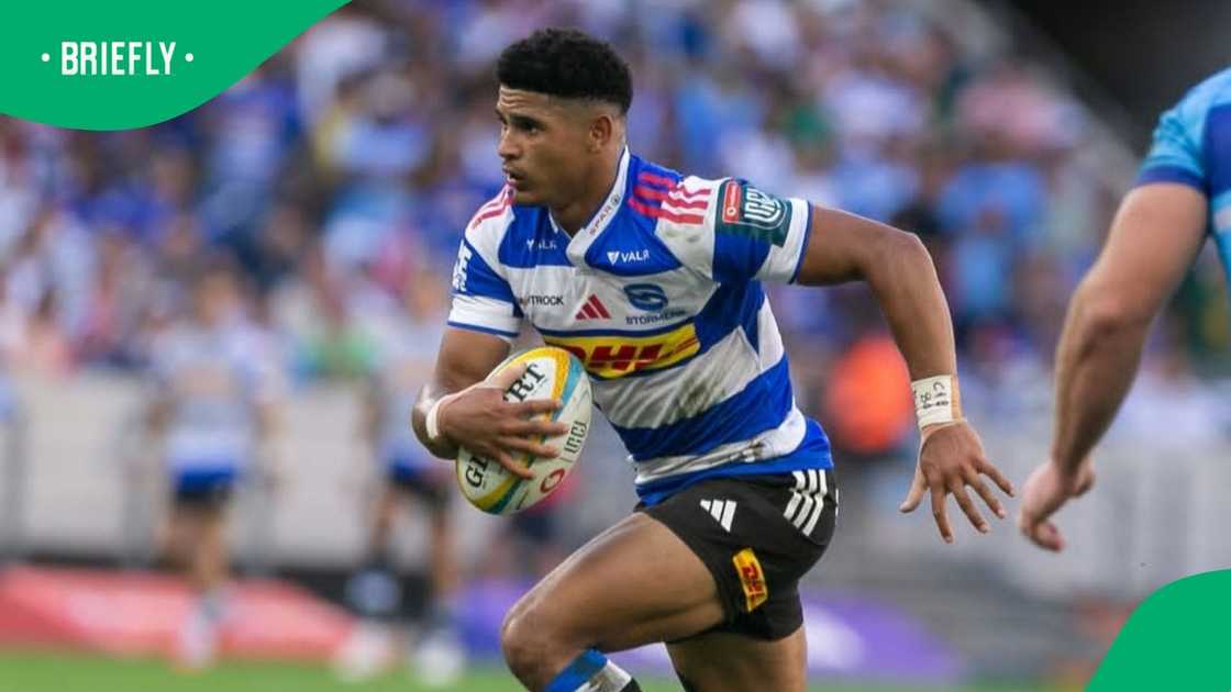 Sacha Feinberg-Mngomezulu, Springboks, Stormers