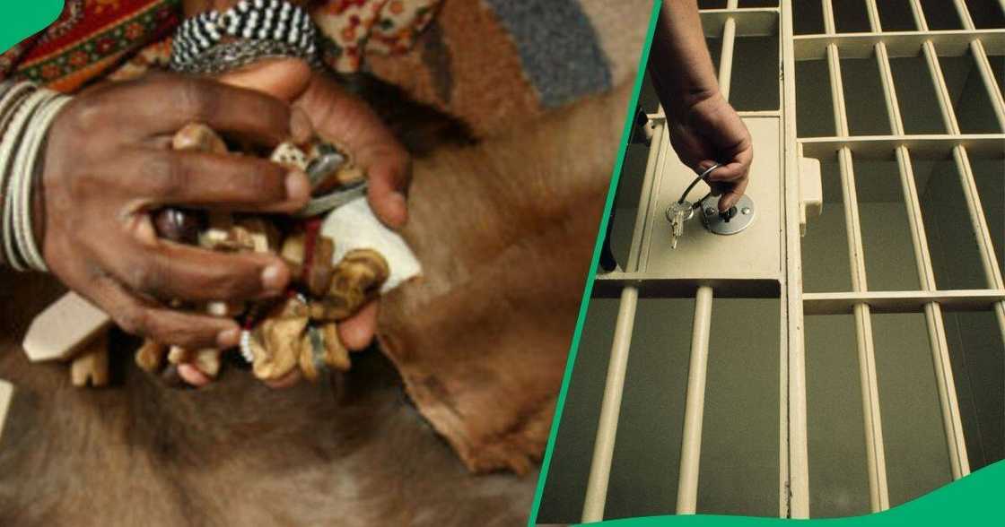 Two men who impersonated traditional healers to scam a client out of R3 million were each sentenced to 10 years behind bars. Two men who impersonated traditional healers to scam a client out of R3 million were each sentenced to 10 years behind bars.