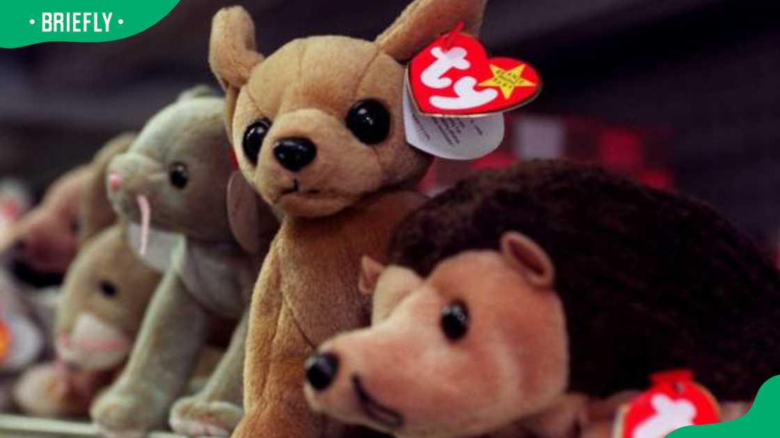 Beanie Babies on the shelf of a variety store Beanie Babies on the shelf of a variety store