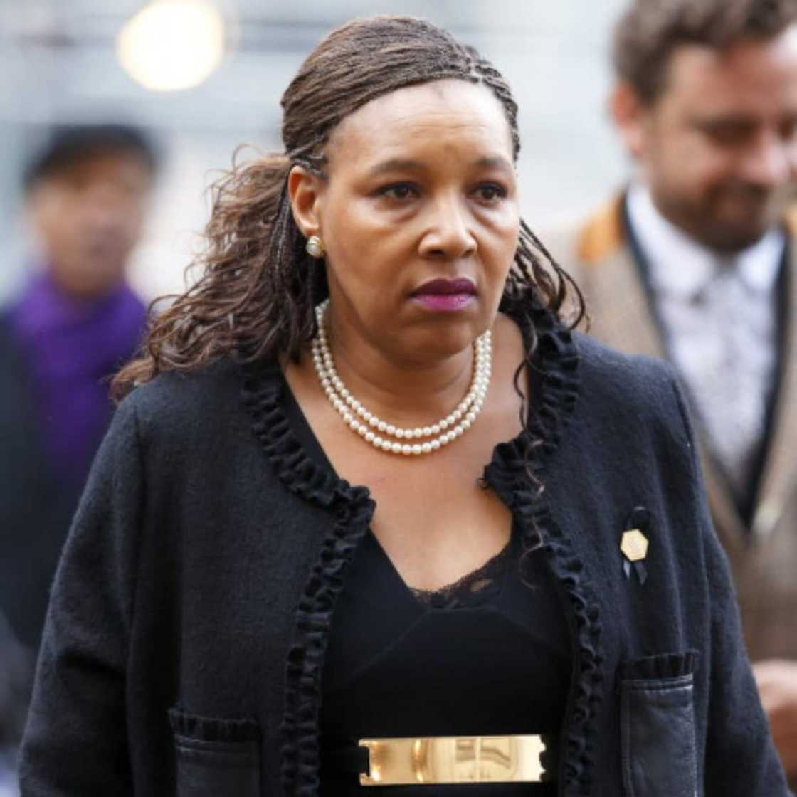 Zenani Mandela-Dlamini: The Daughter of Winnie and Nelson Mandela Who Became a Real Princess Zenani Mandela-Dlamini: The Daughter of Winnie and Nelson Mandela Who Became a Real Princess