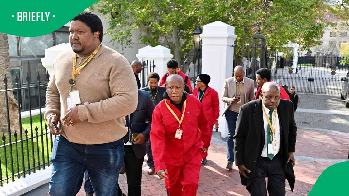 MPs on the Impeachment Committee have routinely criticised Cyril Ramaphosa's handling of the Phala Phala saga MPs on the Impeachment Committee have routinely criticised Cyril Ramaphosa's handling of the Phala Phala saga