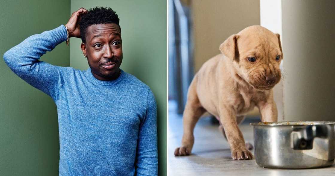 Zulu man asks is sister's fancy dog has funeral cover