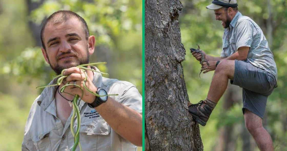 A man found eight brand new snakes.