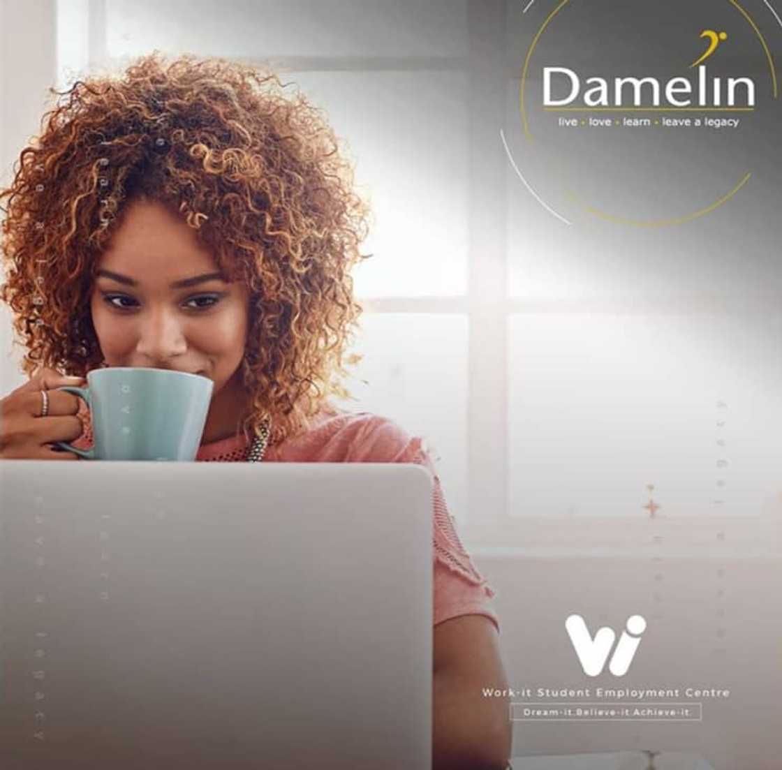 Damelin courses and fees 2021