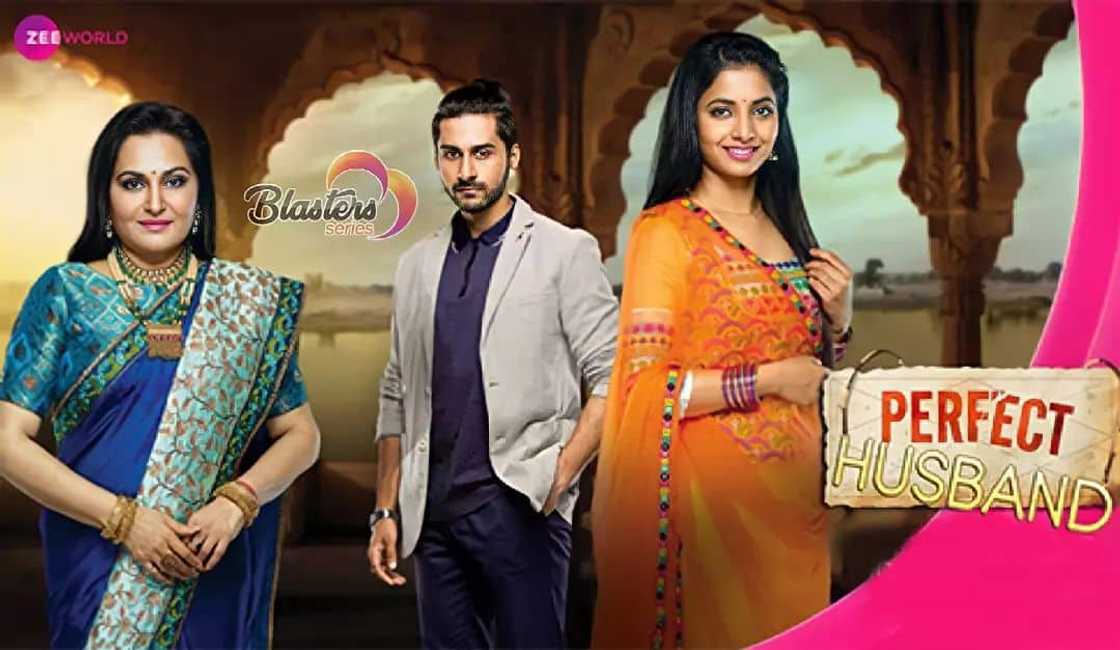 Zee World Perfect Husband Zee World Perfect Husband