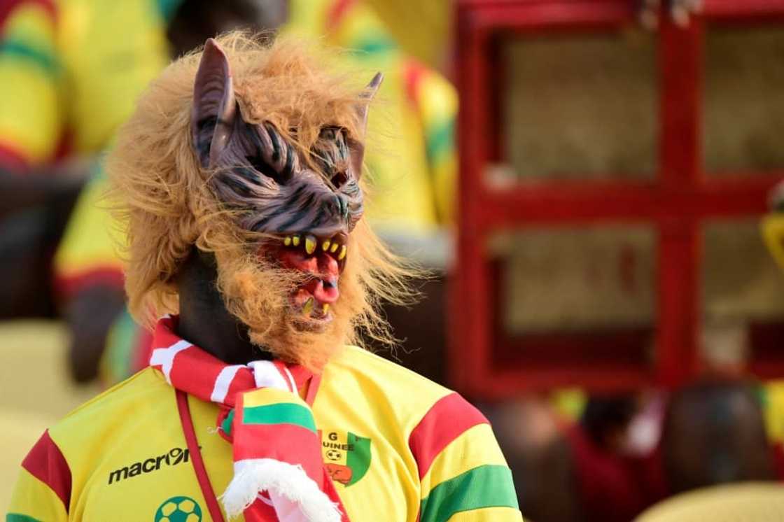 I'm a fan: A Guinean supporter at CAN 2019 in Cairo