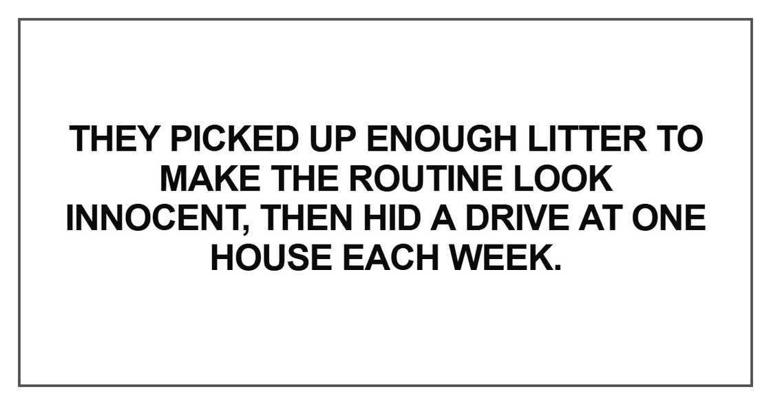 They picked up enough litter to make the routine look innocent