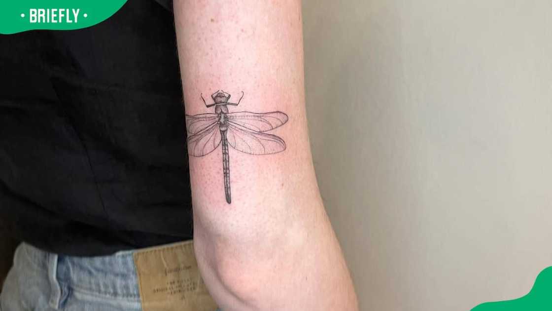 Back wrist dragonfly tattoo Back wrist dragonfly tattoo