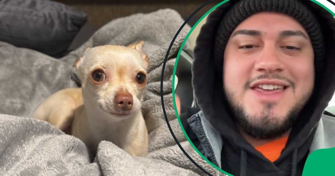 Social media users floored by dog lover Social media users floored by dog lover
