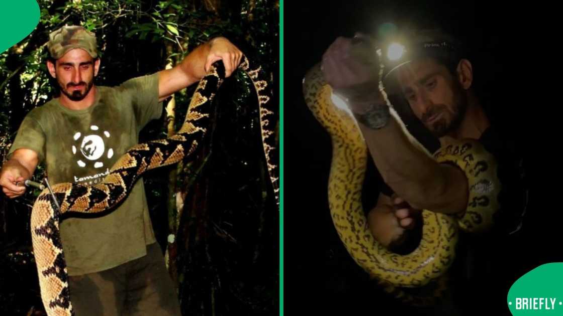 Paul Rosolie with snakes. Paul Rosolie with snakes.