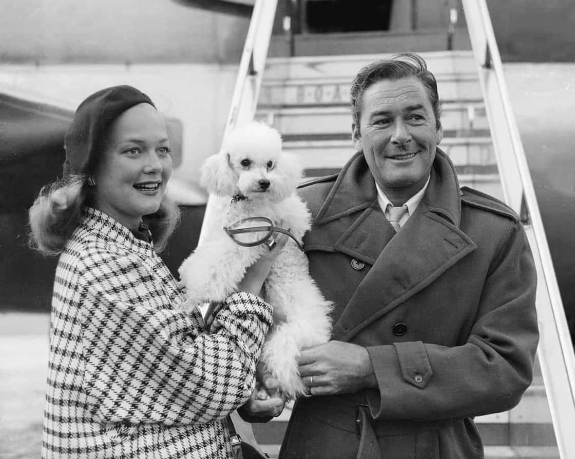 Who were Errol Flynn's wives?