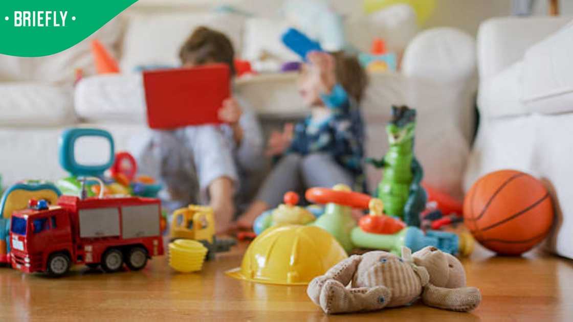 study toys study toys
