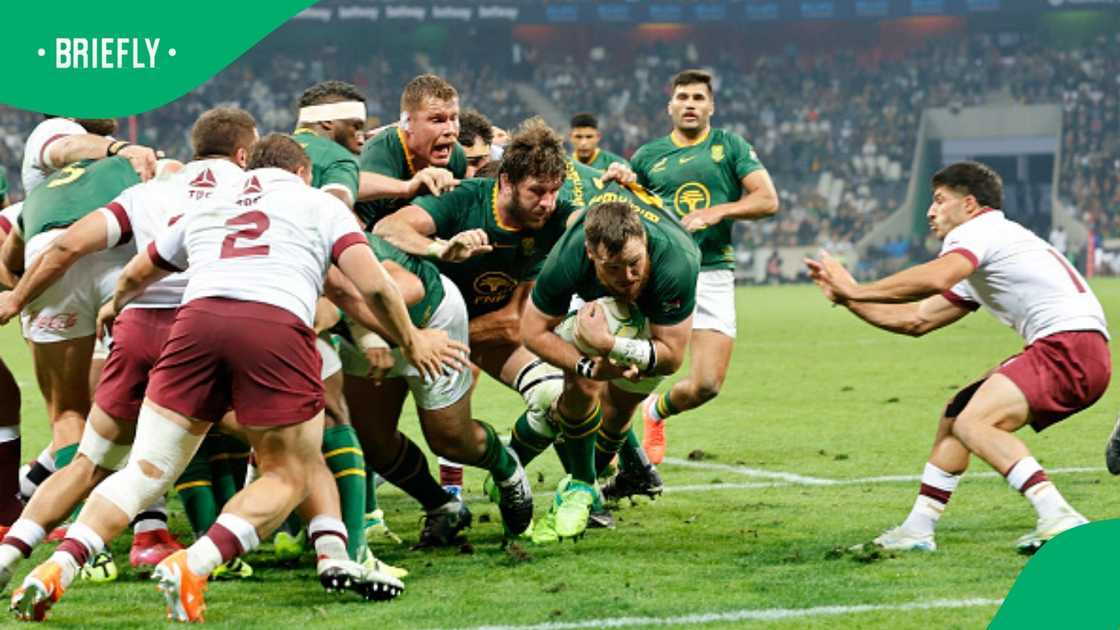 Springboks, South Africa, Marnus van der Merwe