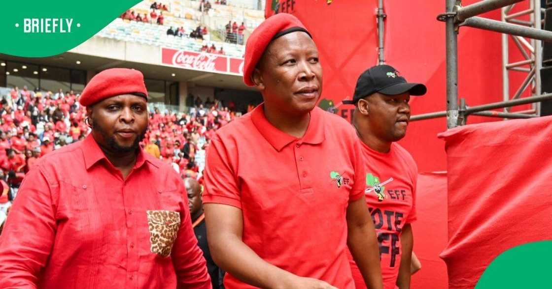 ActionSA has called for The EFF leaders Julius Malema and Floyd Shivambu to be investigated