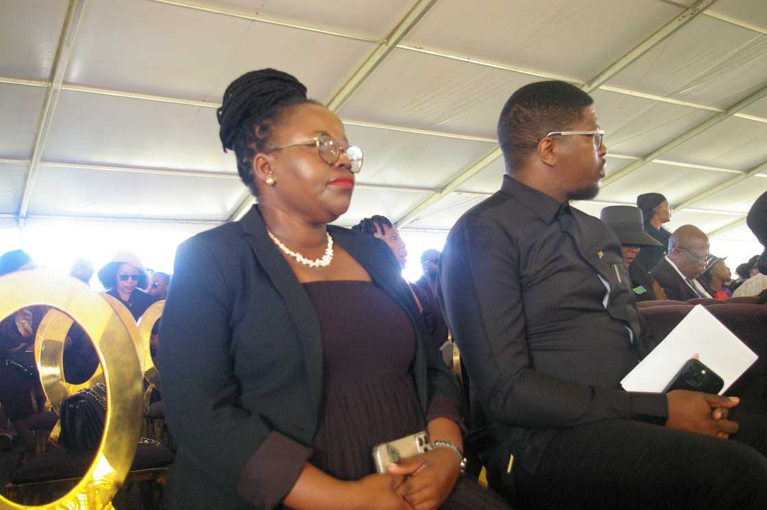 Transport MEC Kedibone Diale-Tlabela weighed in on the Gautrain's Public-Private Partnership model Transport MEC Kedibone Diale-Tlabela weighed in on the Gautrain's Public-Private Partnership model