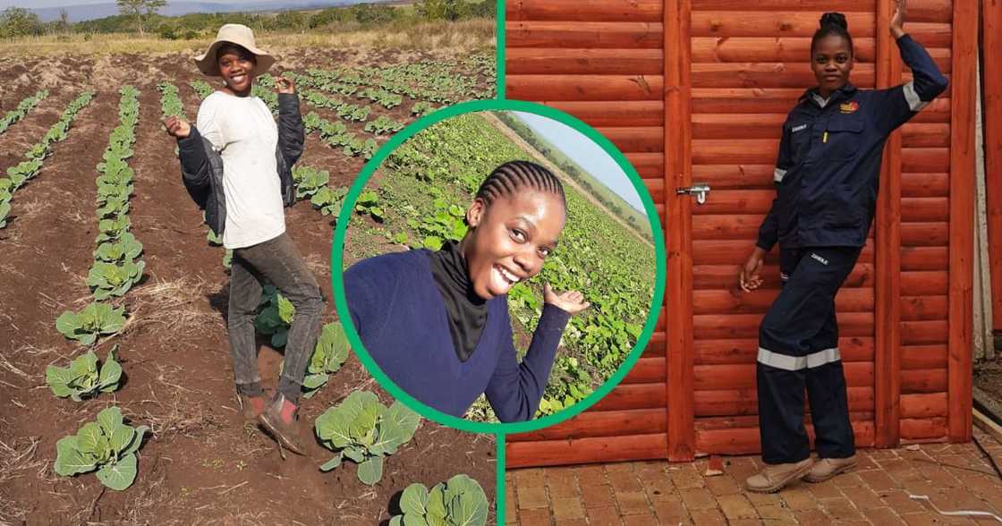 Zandile from Soweto is a carpenter who makes Wendy houses. Now she is a vegetable farmer. Zandile from Soweto is a carpenter who makes Wendy houses. Now she is a vegetable farmer.
