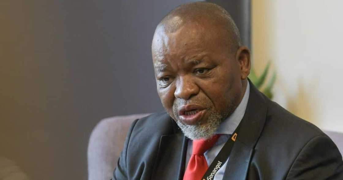 Gwede Mantashe, Cyril Ramaphosa, President Ramaphosa, Minister of Mineral Resources and Energy, Covid-19, Omicron, coronavirus Gwede Mantashe, Cyril Ramaphosa, President Ramaphosa, Minister of Mineral Resources and Energy, Covid-19, Omicron, coronavirus