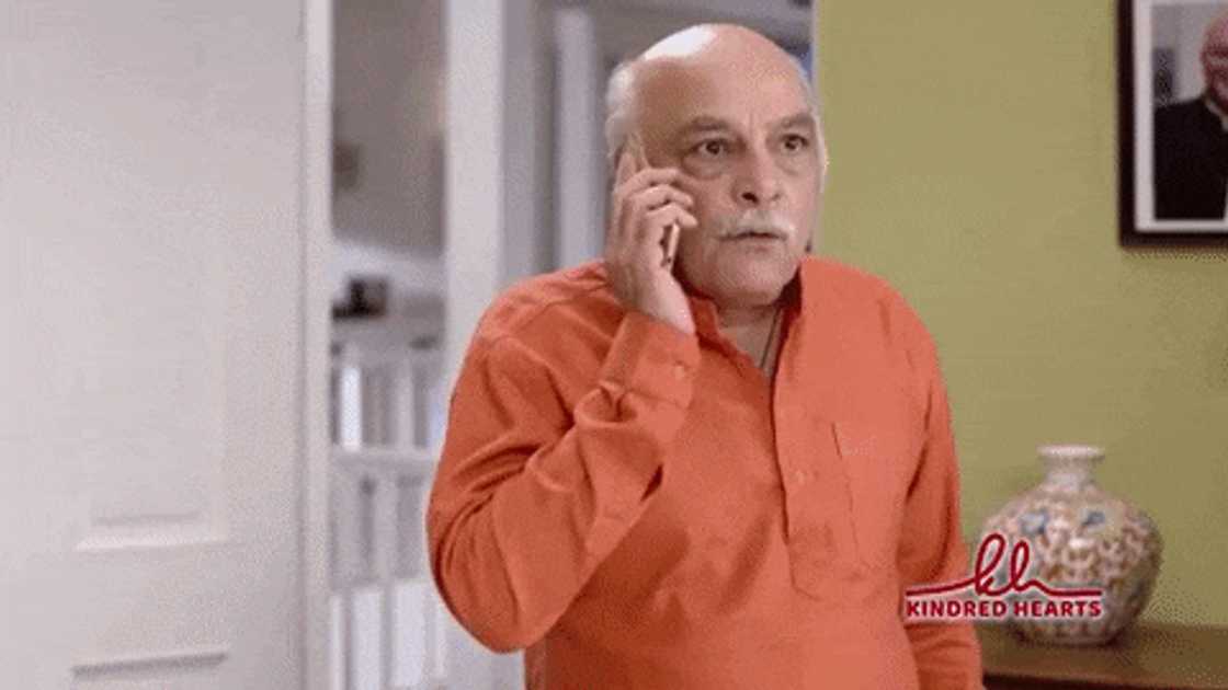Kindred Hearts Zee World Kindred Hearts Zee World