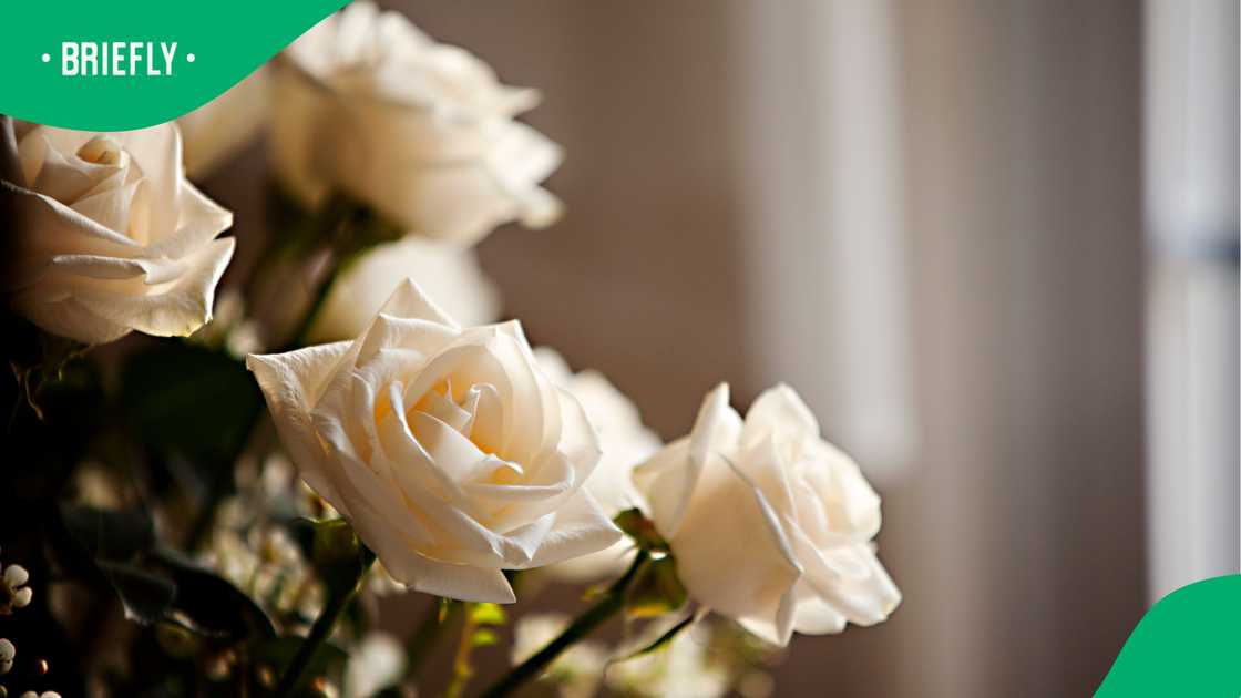 The circumstances surrounding his death have not been disclosed