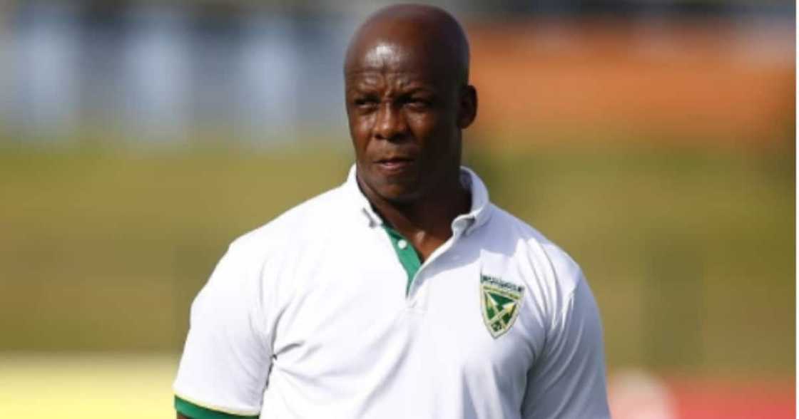 Mandla Ncikazi, Orlando Pirates, Golden Arrows, technical team Mandla Ncikazi, Orlando Pirates, Golden Arrows, technical team