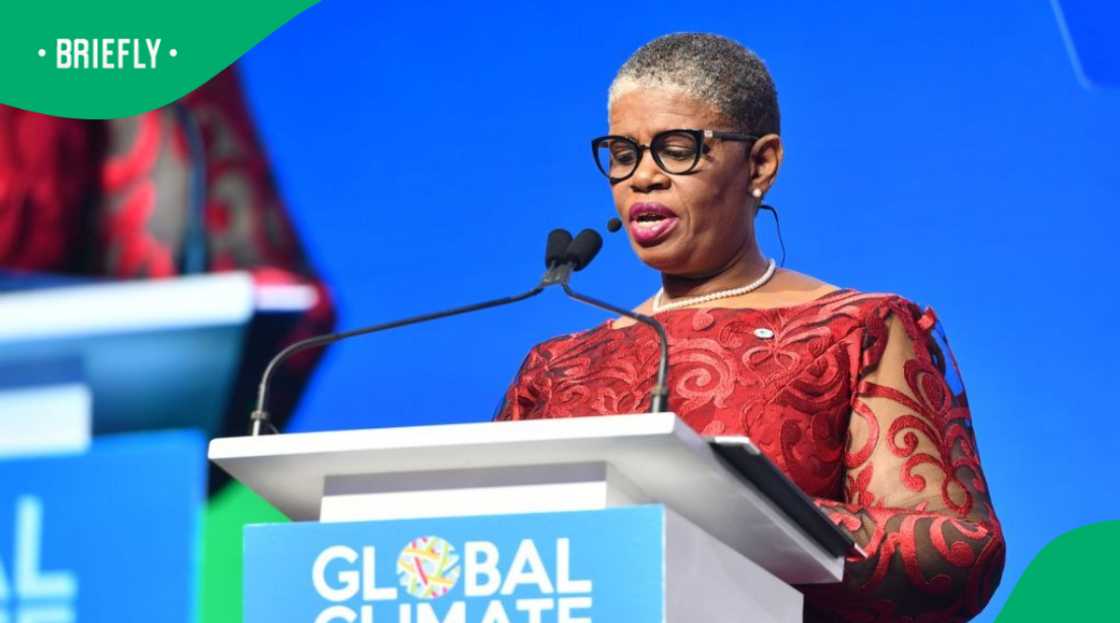 Former eThekwini mayor Zandile Gumede has been appointed as the MK Party's deputy convenor in KwaZulu-Natal Former eThekwini mayor Zandile Gumede has been appointed as the MK Party's deputy convenor in KwaZulu-Natal