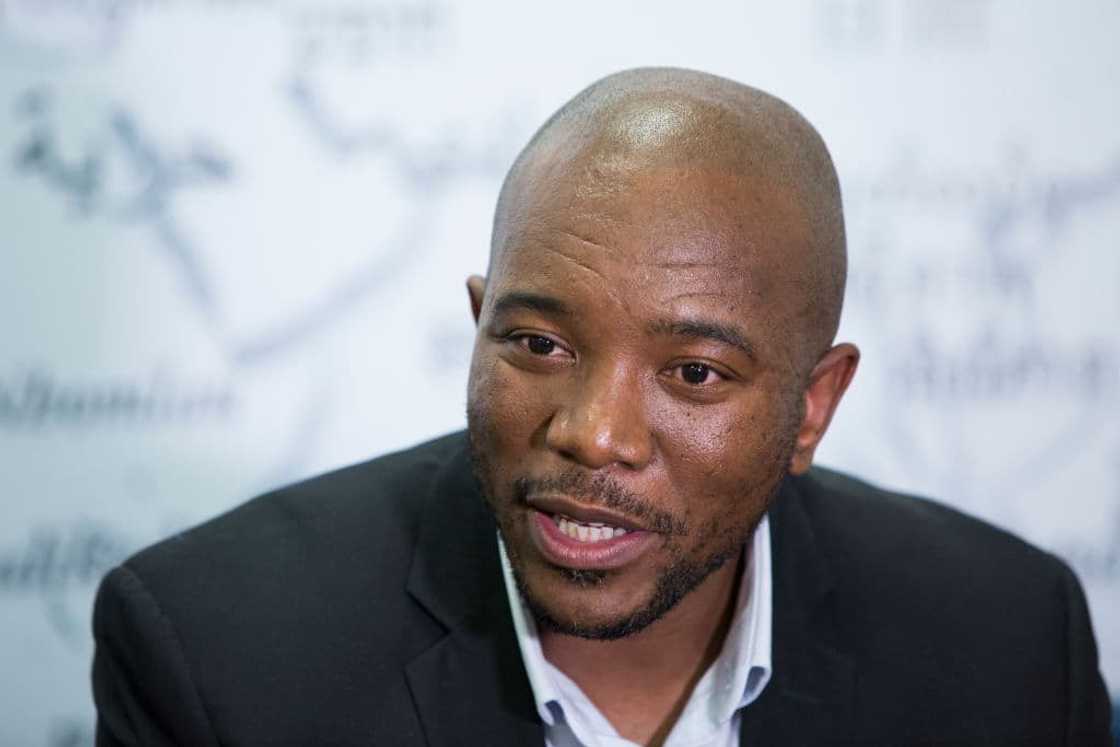 Mmusi Maimane, OSA