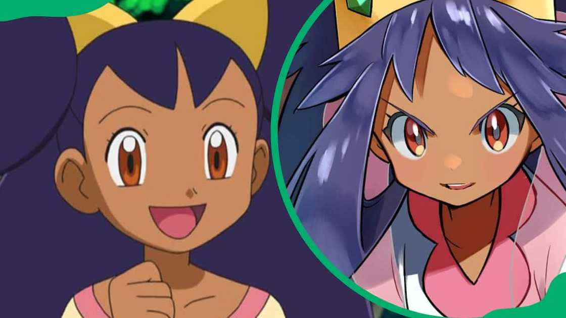 Iris from Pokemon Iris from Pokemon