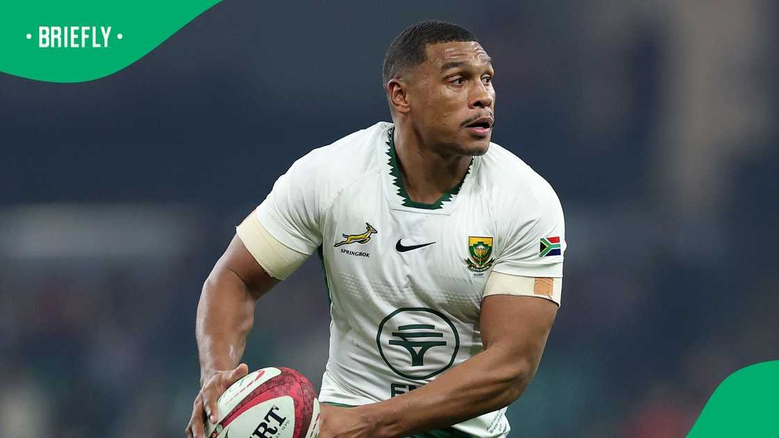 Damian Willemse, Springboks, South Africa