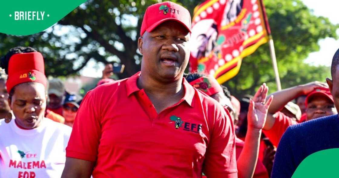 The EFF's secretary general Marshall Dlamini was given a suspended 18-month sentence for assault The EFF's secretary general Marshall Dlamini was given a suspended 18-month sentence for assault