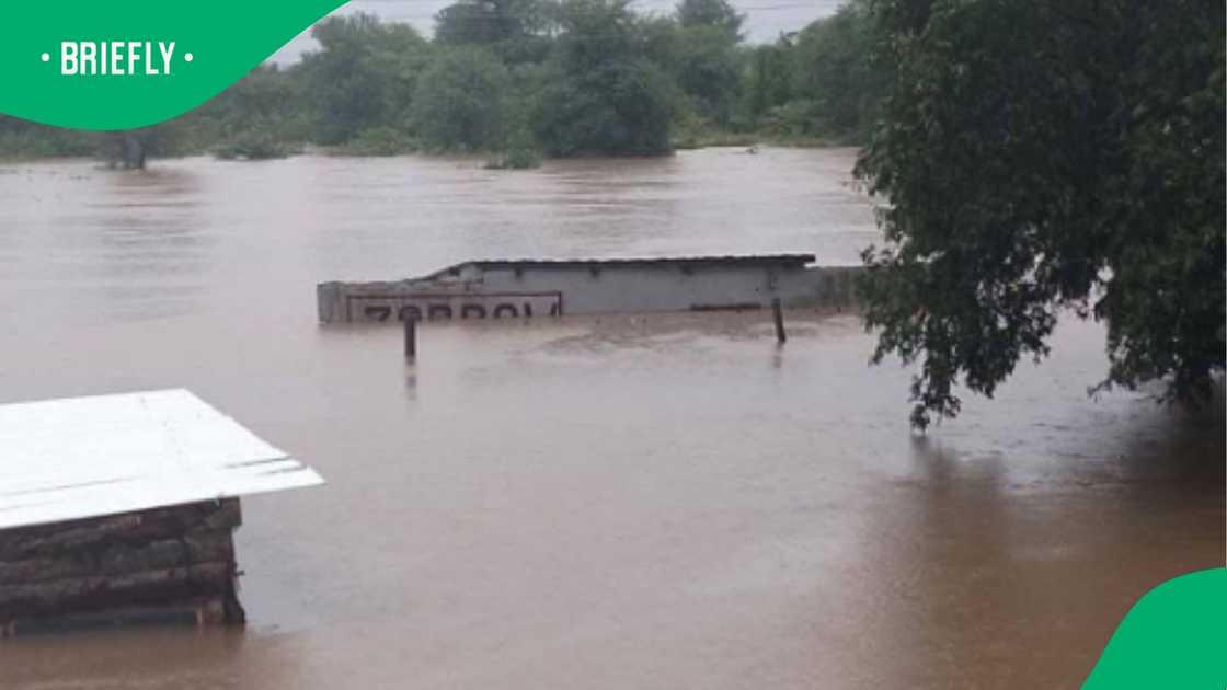 The MMC’s wife and family are currently in Mozambique