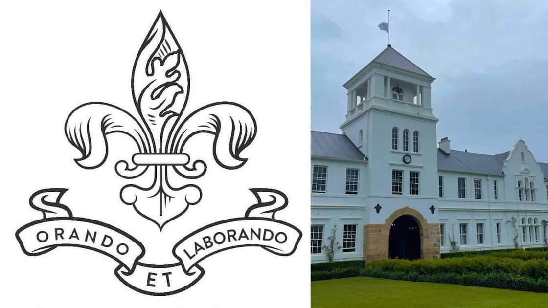 Most expensive schools in South Africa