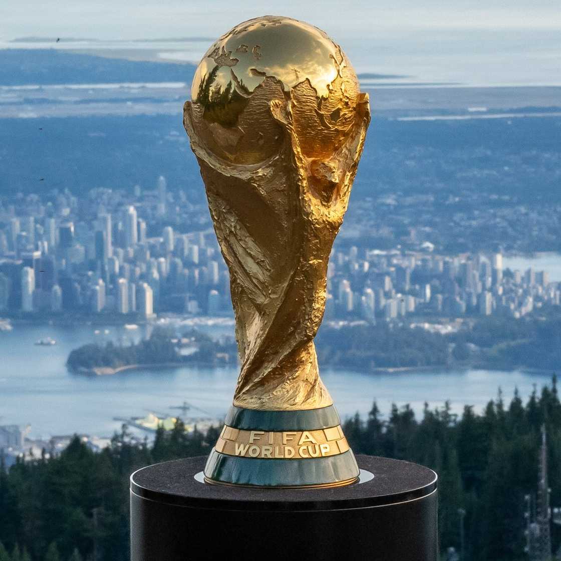 Young South African to represent country at FIFA World Cup Young South African to represent country at FIFA World Cup