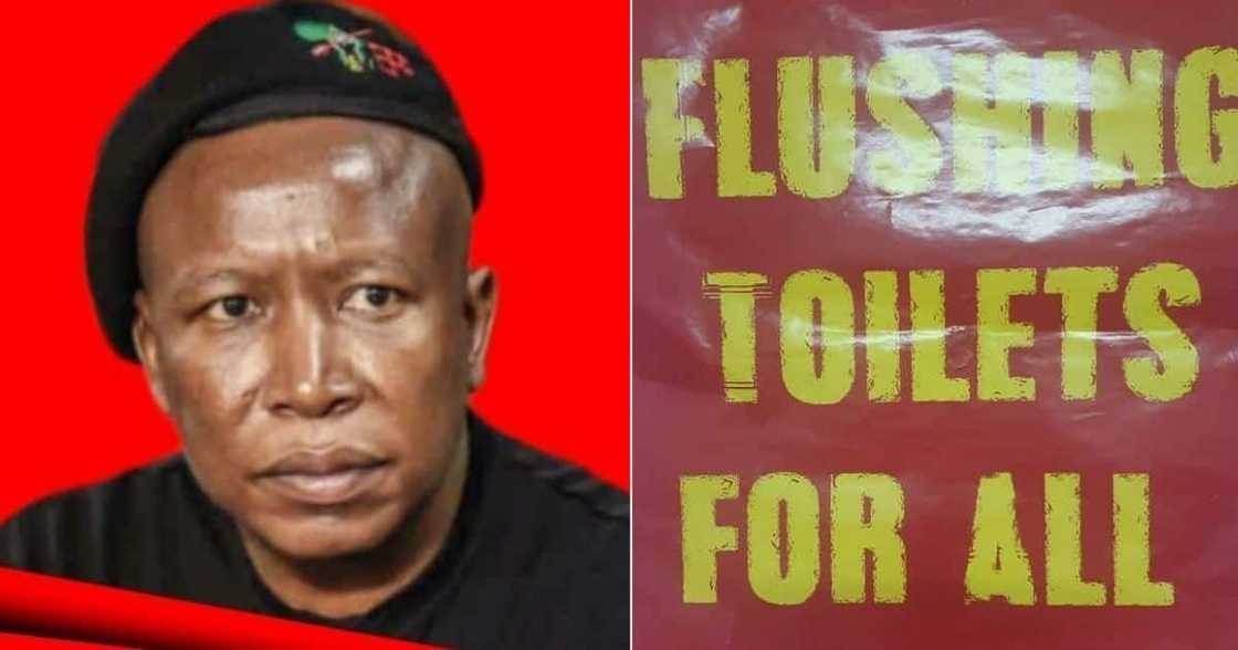 EFF, politics. service delivery, elections EFF, politics. service delivery, elections