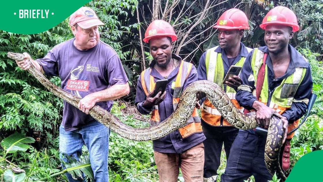 Facebook users thanked a snake lover after seeing him safely protect a python