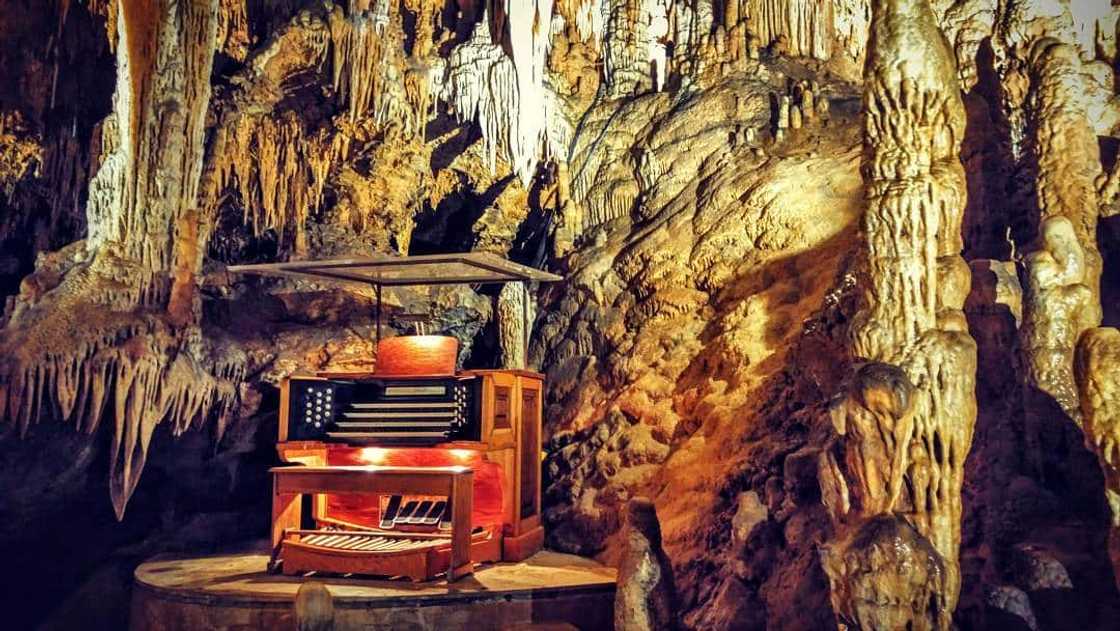 Music instruments Music instruments
