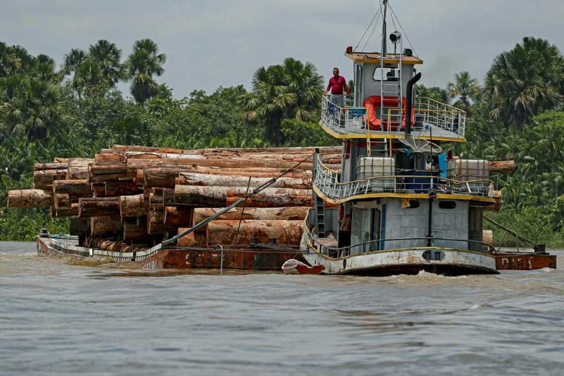 A boat transports logs along the Murutipucu River in northeast Para, Brazil in September 2020 A boat transports logs along the Murutipucu River in northeast Para, Brazil in September 2020