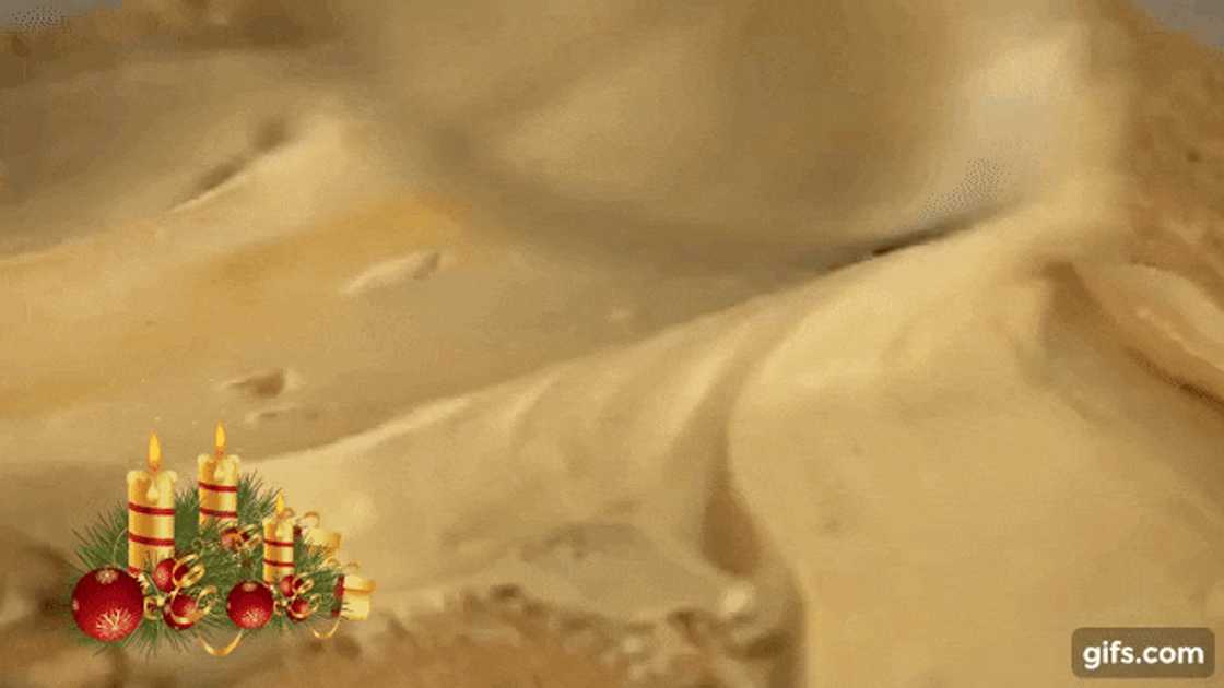 Maklike peppermint crisp tert resep. Maklike peppermint crisp tert resep.