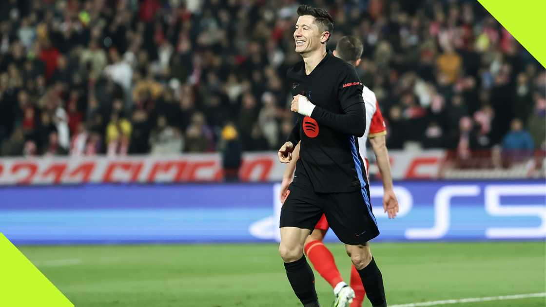 Barcelona striker Robert Lewandowski hit a brace as La Blaugrana hammered Crvena Zvezda in the Champions League. Barcelona striker Robert Lewandowski hit a brace as La Blaugrana hammered Crvena Zvezda in the Champions League.