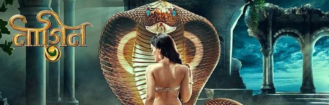 Naagin