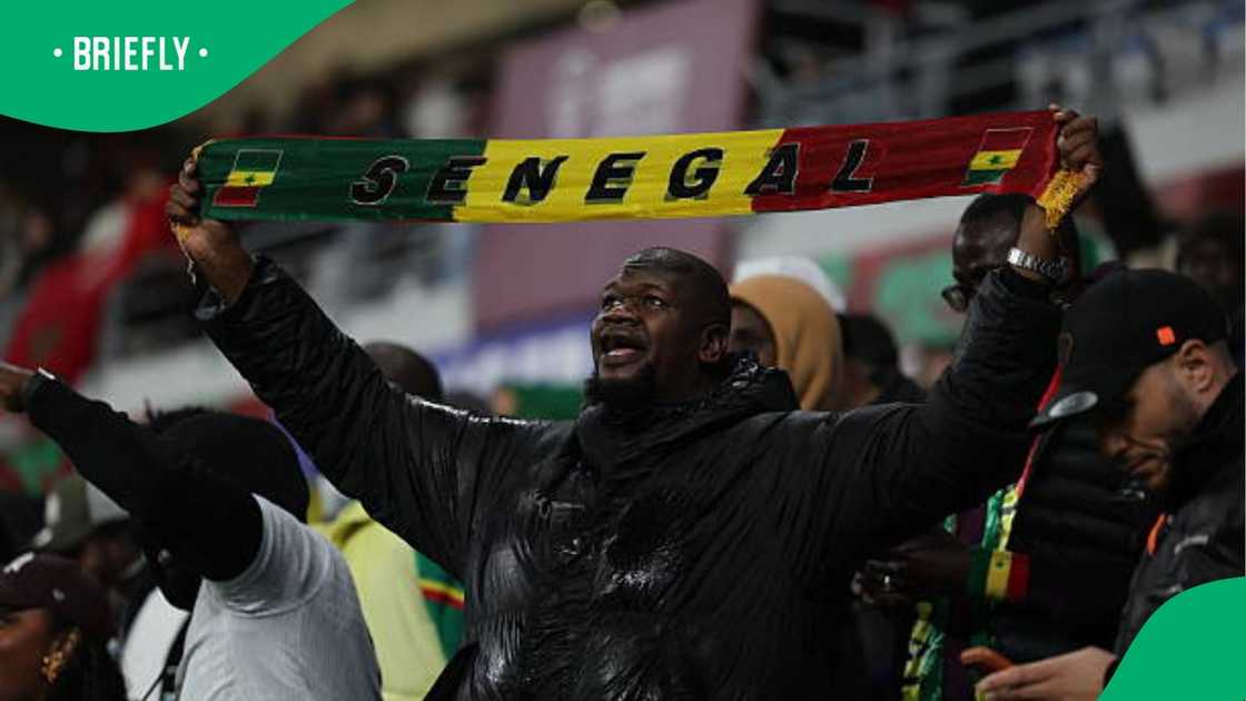 Senegalese fan Senegalese fan