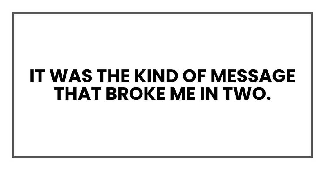 it was the kind of message that broke me in two. it was the kind of message that broke me in two.